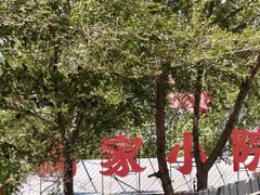 -高家小院铁锅炖大鹅(哈西高铁站店)