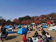 -东湖磨山景区