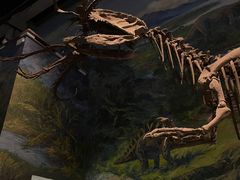 -自贡恐龙博物馆