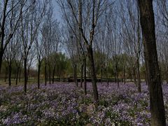 -南开大学(津南校区)