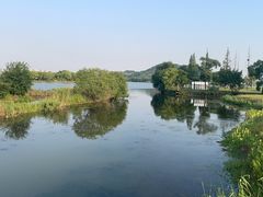 -西山漾湿地公园