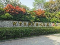 -重庆彩云湖湿地公园
