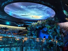 -陕西自然博物馆