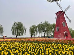 -廊坊文化艺术中心