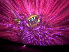 -苏州青少年科技馆