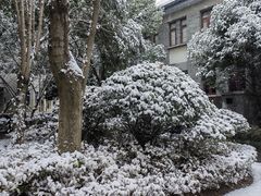 -颐和路民国时期公馆-风貌区