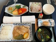 -全日本空输株式会社(上海办事处)