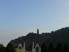 -南沙蒲洲花园