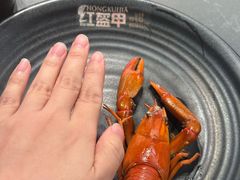 -红盔甲·小龙虾(人民广场店)