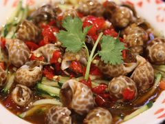 -沙胆彪炭炉牛杂煲(成都玉林店)