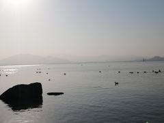 -深圳湾公园(南山区)
