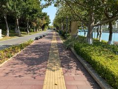 -五缘湾湿地公园