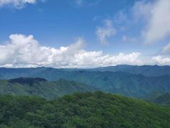 -牛背梁国家森林公园