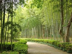 -兰亭风景区