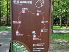 -东平国家森林公园