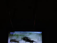 -世新养生馆(福马路店)