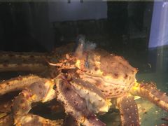 -阿弟仔海鲜