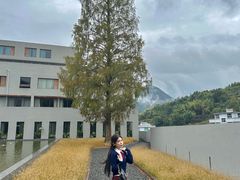-泽雅景区