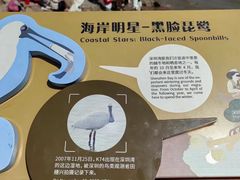 -深圳湾公园(南山区)