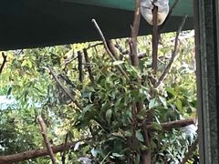 -可伦宾野生动物保护区