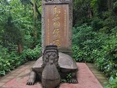 -青城山