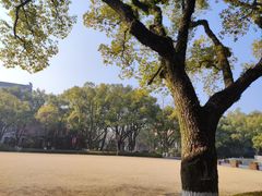 -浙江大学(玉泉校区)