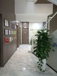 -上海漾颜医疗美容