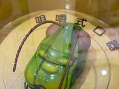 -上海昆虫博物馆