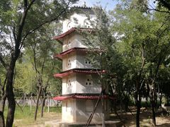 -北京十三陵国家森林公园蟒山景区