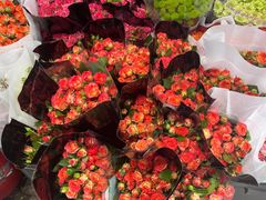 -循礼门鲜花花市(武汉循礼门店)