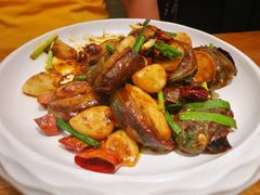 辣炒小鲍鱼-必点海鲜·鲅鱼水饺(鞍山西道店)