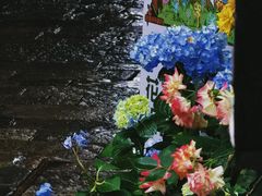 -花·fleur古董西餐厅(西城夜未央店)