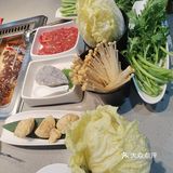 别捞了，直接住海底吧❗️