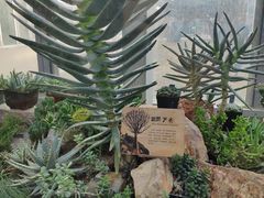 -国家植物园南园