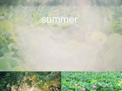 -黄兴公园