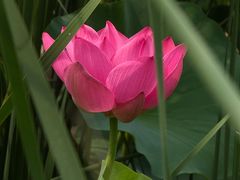 -太阳宫公园