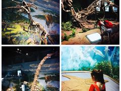 -自贡恐龙博物馆