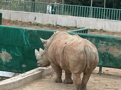 -哈尔滨北方森林动物园