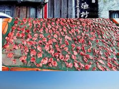 -天台山景区