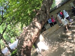 -青岛崂山太清宫