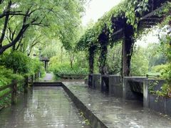 -新江湾城公园