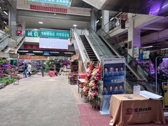 -花鸟鱼虫鲜花绿植市场(玉泉路店)