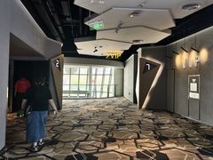 -星河寰宇IMAX影城(星河WORLD·COCO Park店)