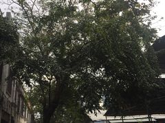 -鸿港海鲜批发市场