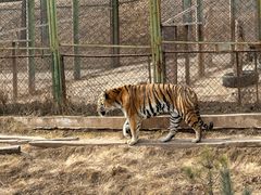 -青藏高原野生动物园