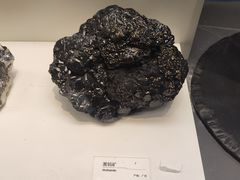-重庆自然博物馆(新馆)
