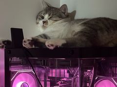 -联合动物医院(光谷诊疗中心)