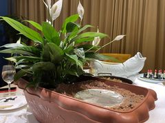 -陶苏·品味融合川菜(龙湖源著天街店)