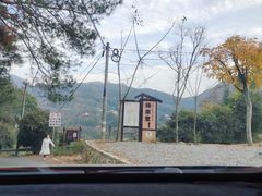 -杨家堂村