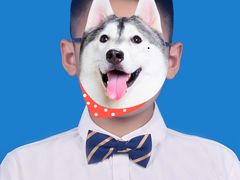 -柯达靓之彩影像网络(明瓦廊店)